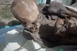 Мъж, пренасял древна мумия в хладилна чанта, е арестуван в Перу
