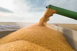 Брюксел удължи забраната за внос на украинско зърно до 15 септември