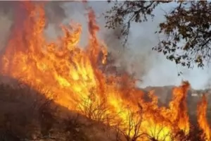 Ивайловград обяви бедствено положение заради огромен пожар