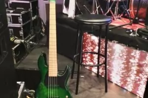 Открадната в Париж скъпа китара беше открита в Търговище