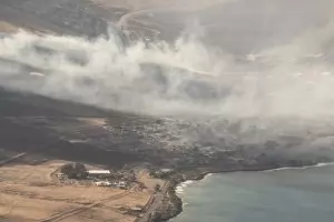 Най-малко 36 души са загинали в горски пожар на Хаваите