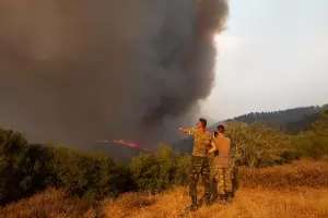 Над 60 доброволци гасят огъня в община Хисаря