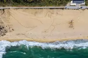 Най-голямата пясъчна рисунка в света се появи край Камчия