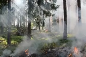 Евакуират селяни от Свиленградско заради пожар