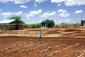 Кения обяви почивен ден за засаждане на дървета