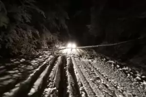 И вторият сняг остави десетки селища без ток