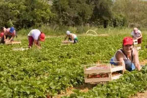 Гастарбайтерите ще плащат данъци за доходите си в Германия