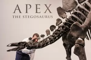 Американски милиардер плати $44 млн. за скелет на динозавър