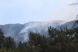 Франция праща самолет да гаси пожарите по границата ни с Гърция