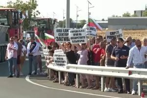 НАП напомни на протестиращите винари за масовите злоупотреби с грозде