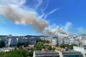 Пожарите продължават да изпепеляват къщи и гора