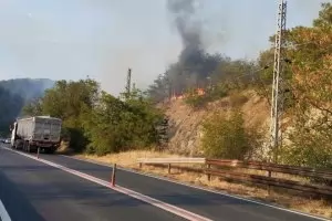 Спират движението по главен път Е-79 заради пожар в Кресненското дефиле