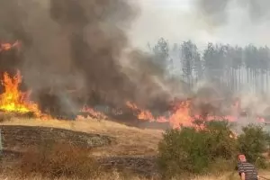 100 пожарникари и доброволци гасят в Рила