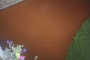 РИОСВ готви глоба на Перник за кафявата река