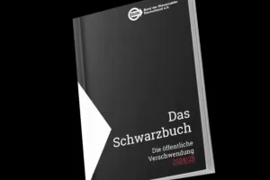 И в Германия хвърлят обществени пари за глупости