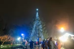 Добрич чака Дядо Коледа с елха за 29 000 лв.