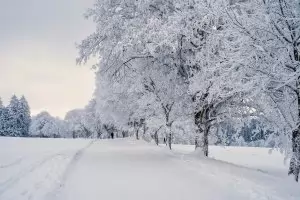 Хороскоп за петък