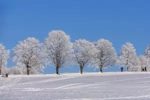 Хороскоп за петък 