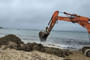 Проверените кораби се оказаха изрядни за мазута