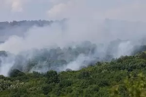 Пожарът в Опицвет се разгоря пак