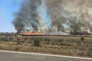 Пожар унищожи 500 дка земеделски земи край АМ "Тракия"