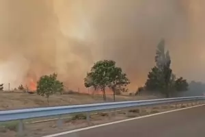 Пожарът в района на Костинброд е овладян