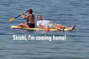 Сарафов зарязва всичко, влиза в нишата на Ози Озбърн