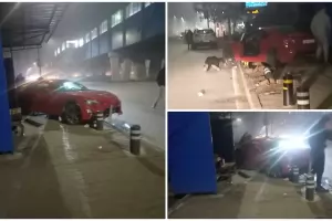 Кола се вряза в спирка в София