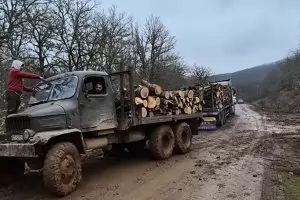 Историческата Петрова нива е превърната в сечище