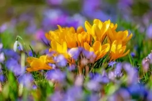 През март ще има и дни с 26 градуса, и сняг