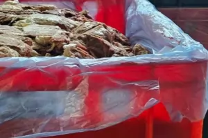 За два месеца БАБХ спря от продажба над 260 тона опасни храни