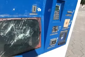 Чакаш електробуси - получаваш консултант за €360 000