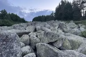 Екоминистърът оттегли новия план за Витоша