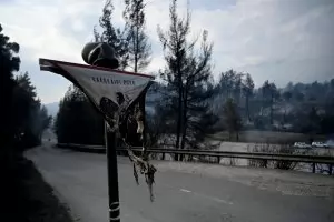 Гърция въведе пълна забрана за достъп в горите на Халкидики