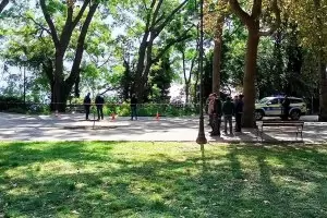 Паднал клон във Варна рани тежко общински служител