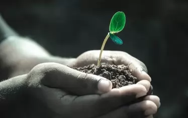  Да нахраним почвата с въглерод!