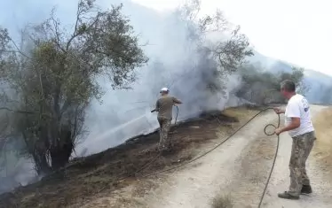 Откриха труп на мъж в обгорели площи в Разградско