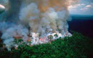 Амазония продължава да гори