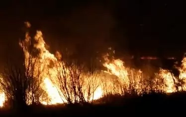 Пожарът в Драгоманското блато вероятно е умишлен