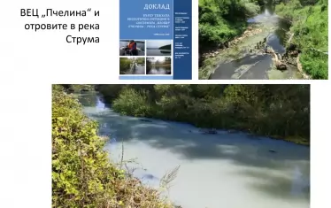 Млечно синя вода тече след ВЕЦ "Пчелина". Реката под язовира буквално вони и е отровена с благословията на РИОСВ-Перник, която не е видяла нужда от оценка на въздействието върху околната среда и съвместимост, твърди "Балканка". Това не е случайно, убедени са екоастивистите. Язовирът е собственост на "Пауър Туенти Туенти", свързана с Айнур Гошкелов, съпруг на бившата зам.министърка на МОСВ Фатме Илияз от ДПС, показа проверка на Бивол. Разследващият сайт започва проверки на собствеността на ВЕЦ-овете на базата на поддържания от "Балканка" портал.  Сдружението твърди, че разрешението за строеж на ВЕЦ "Пчелина" е дадено в нарушение на закона, защото язовирът е публична държавна собствевност и е следвало да има и разрешение на Министерския съвет.