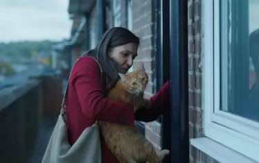 "Котка в стената" отива на Европейските филмови награди