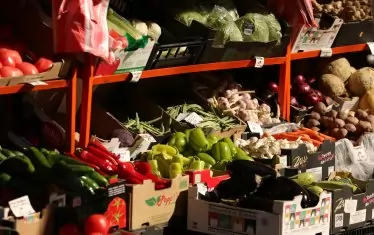 Фонд "Земеделие" отпуска 5 млн. лв.
за местни оранжерийни зеленчуци