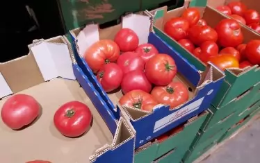 Турция отново пусна износа на домати