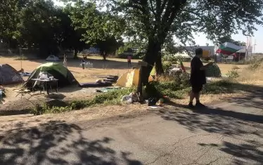 А край Стара Загора дори по поляните.