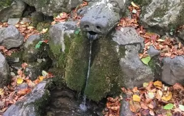 За жива вода до Боснек