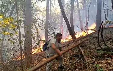 Родопско село отчаяно зове за доброволци срещу пожар