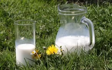 Млякото и олиото теглят цените на храните надолу