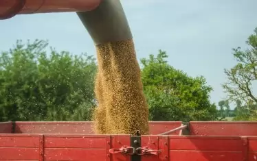 Руснаците ускоряват изнасянето на зърно от окупираната Южна Украйна
