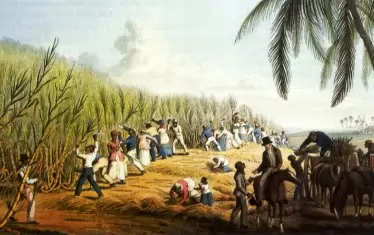 Нидерландия се извини за 200 години робовладелство