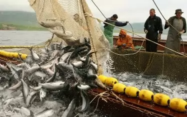 Заповед на агроминистъра забранява риболова от днес 